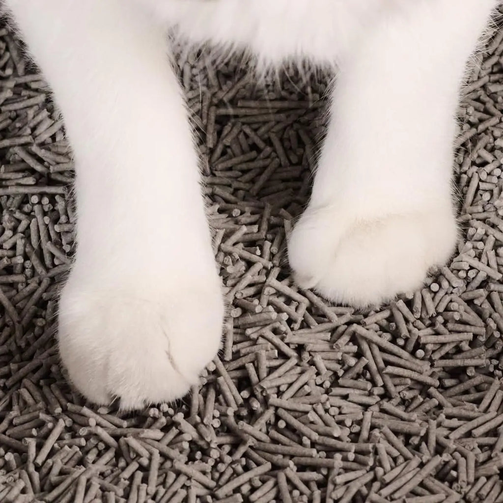Tofu Cat Litter, Clumping, Flushable, Odor Control, Dust-Free - 9.25lbs x 2 Bags (Natural Lavender)