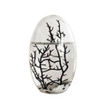 Closed Ecosystem Small Oval 5-Inch Aquatic Habitat with 2-3 Shrimp Ideal for Compact Home Office Deskscape Low-Maintenance Self