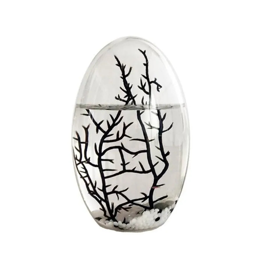 Closed Ecosystem Small Oval 5-Inch Aquatic Habitat with 2-3 Shrimp Ideal for Compact Home Office Deskscape Low-Maintenance Self