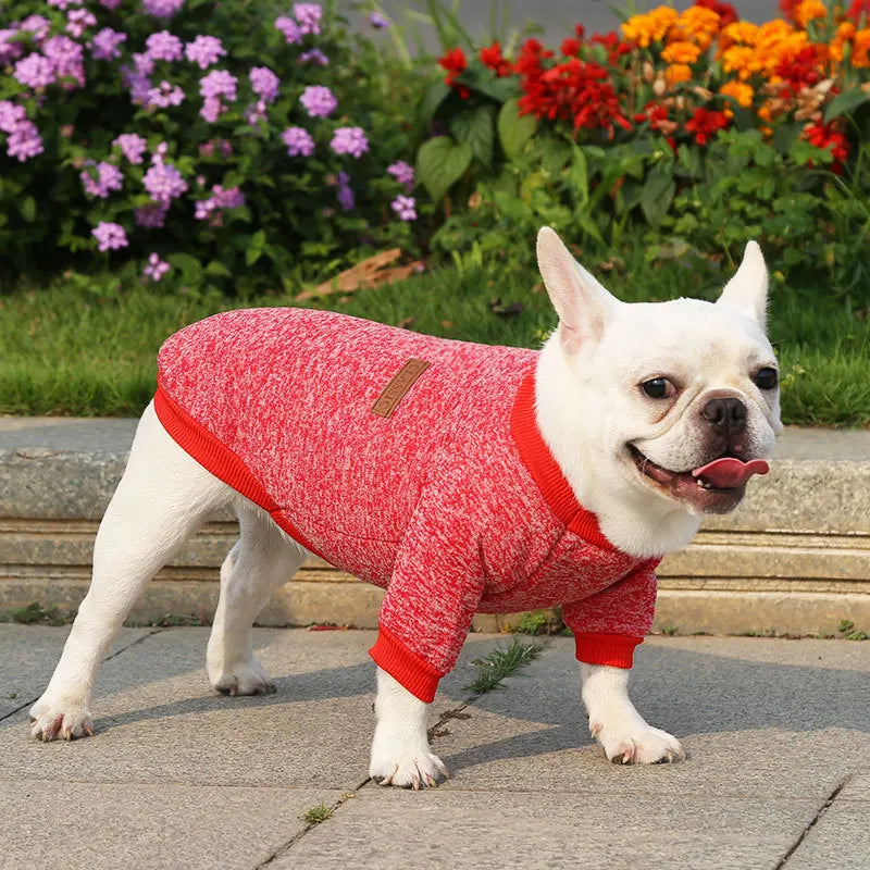 French Bulldog, Pug, Dog, Cat, Pet Clothes, Autumn and Winter Sweatshirts, Two-Legged Clothing