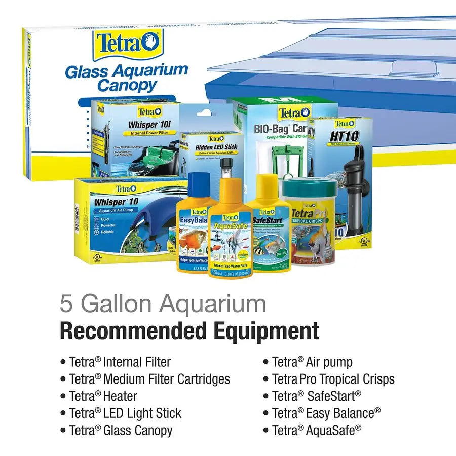 Glass Aquarium 5.5 Gallons, Rectangular Fish Tank