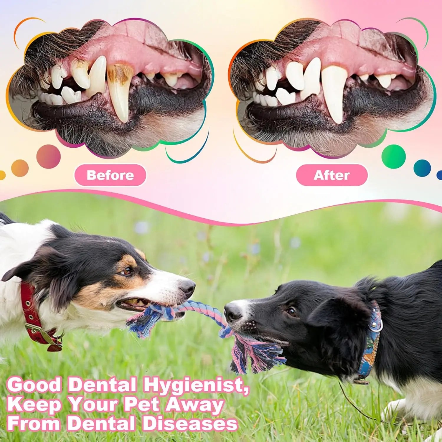 Interactive Braided Dog Chew Ropes - Colorful Teething Toys for Puppies, Durable Boredom Relief Toys for Small to Medium Dogs