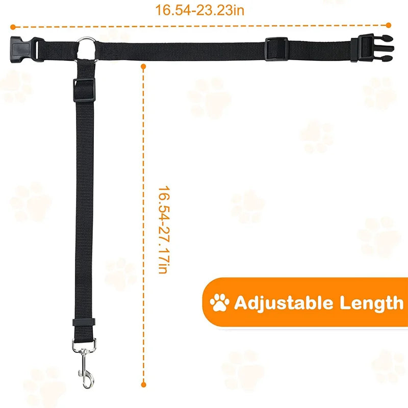 Nylon Machine Washable Dog Leash, Durable & Easy Clean. 20cm, Loop Handle, for Daily Walks
