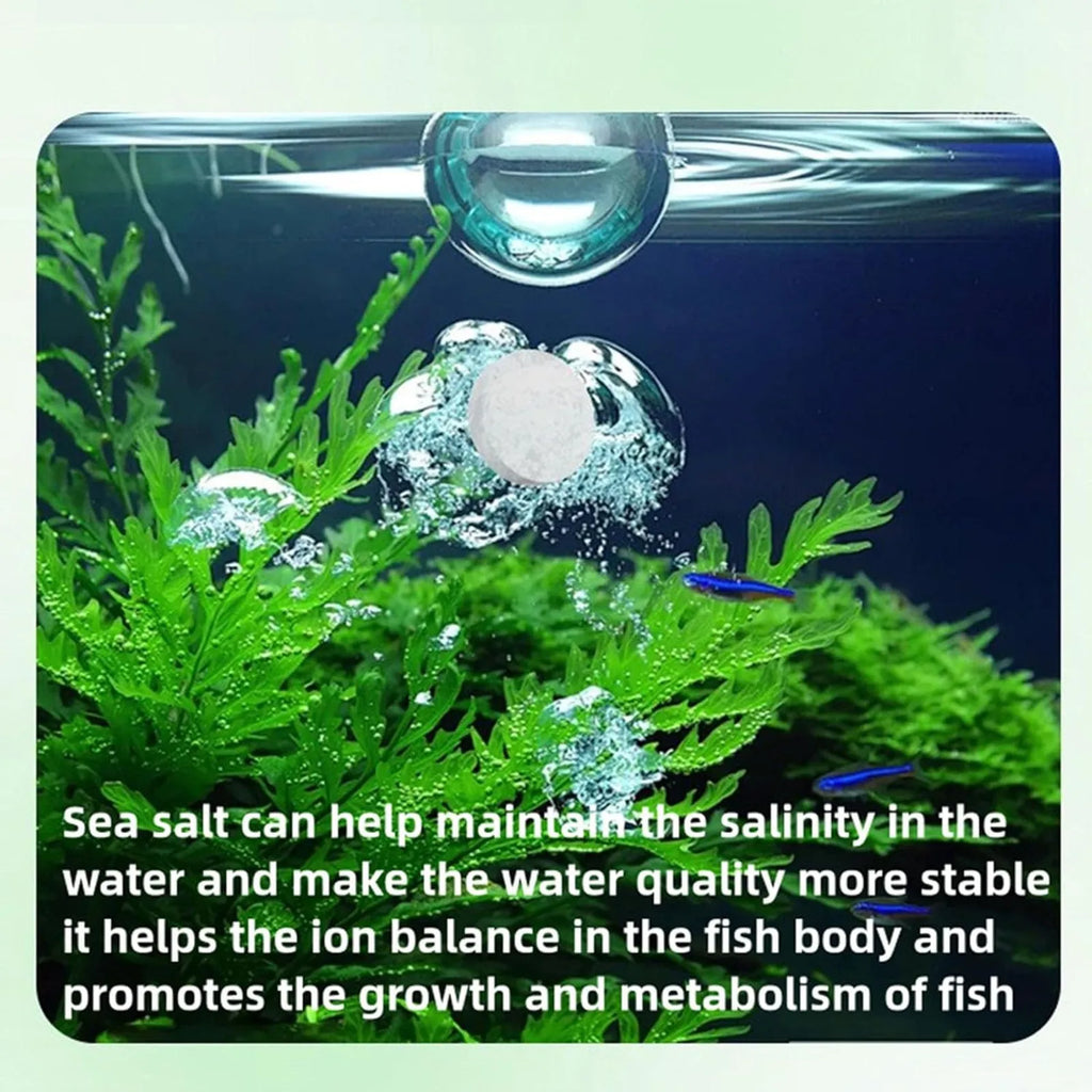 Water Purification Tablets Freshwater Aquarium Water Clarifier Tablet Effective Fish Bowl Cleaning Solution