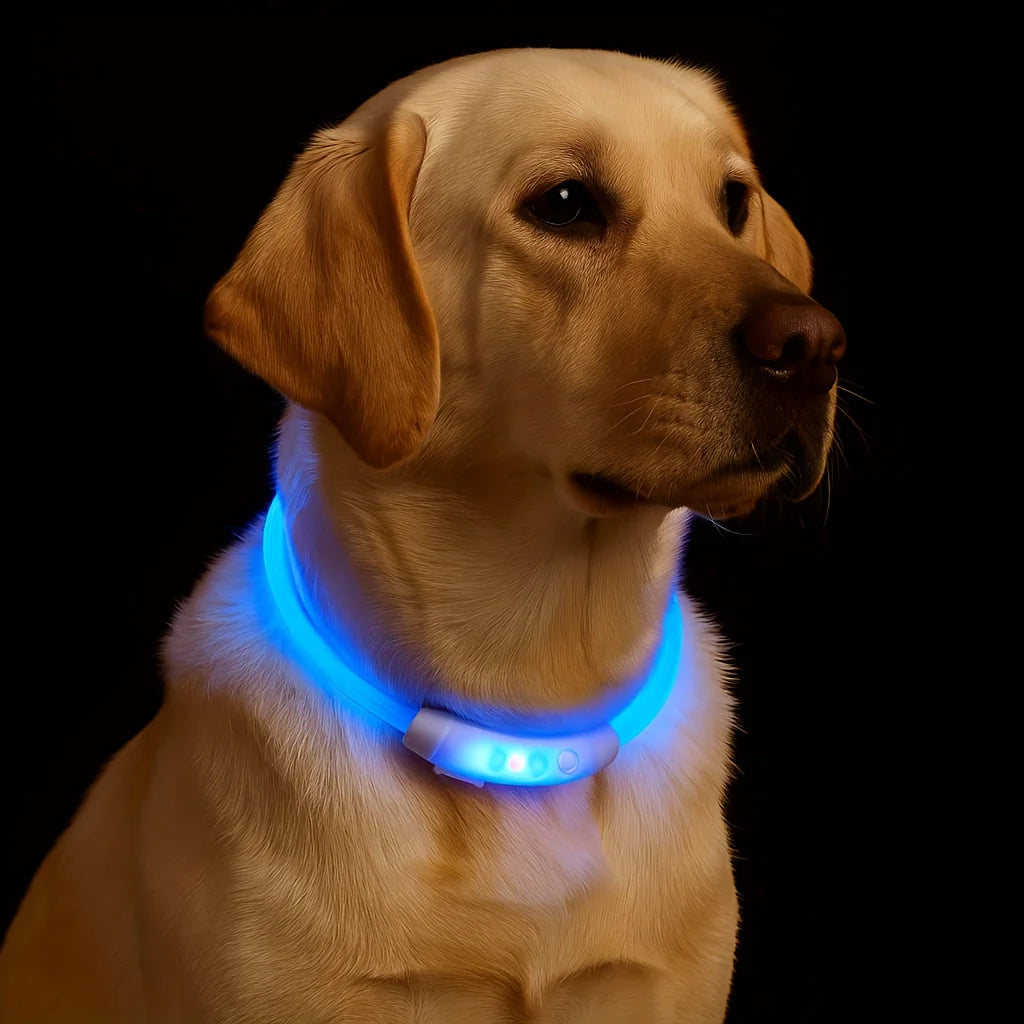 New LED Dog Collar USB Rechargeable 3 Mode Adjustable Glowing for Night Walking Pet Collar