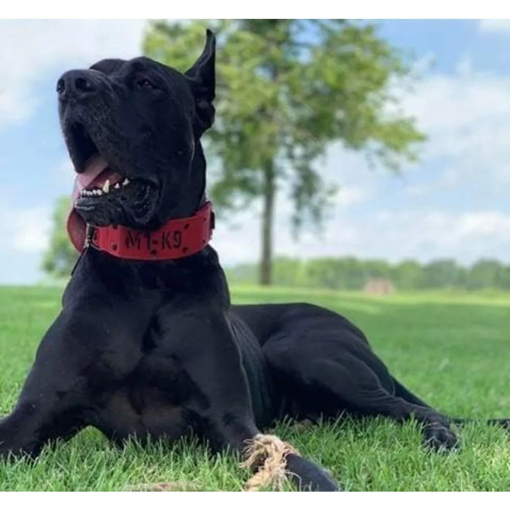 Tactical Dog Collar with Heavy-Duty 6ft Leash, Metal Cobra Buckle