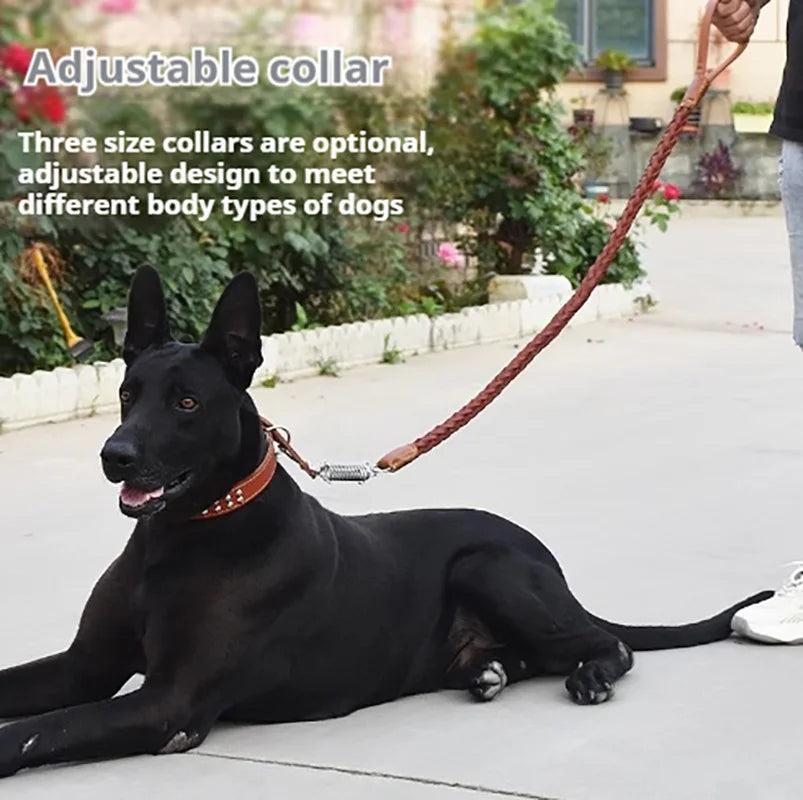 5-Foot Genuine Dog Leash with Cowhide Collar - Dog Walking Rope for Medium & Large Dogs