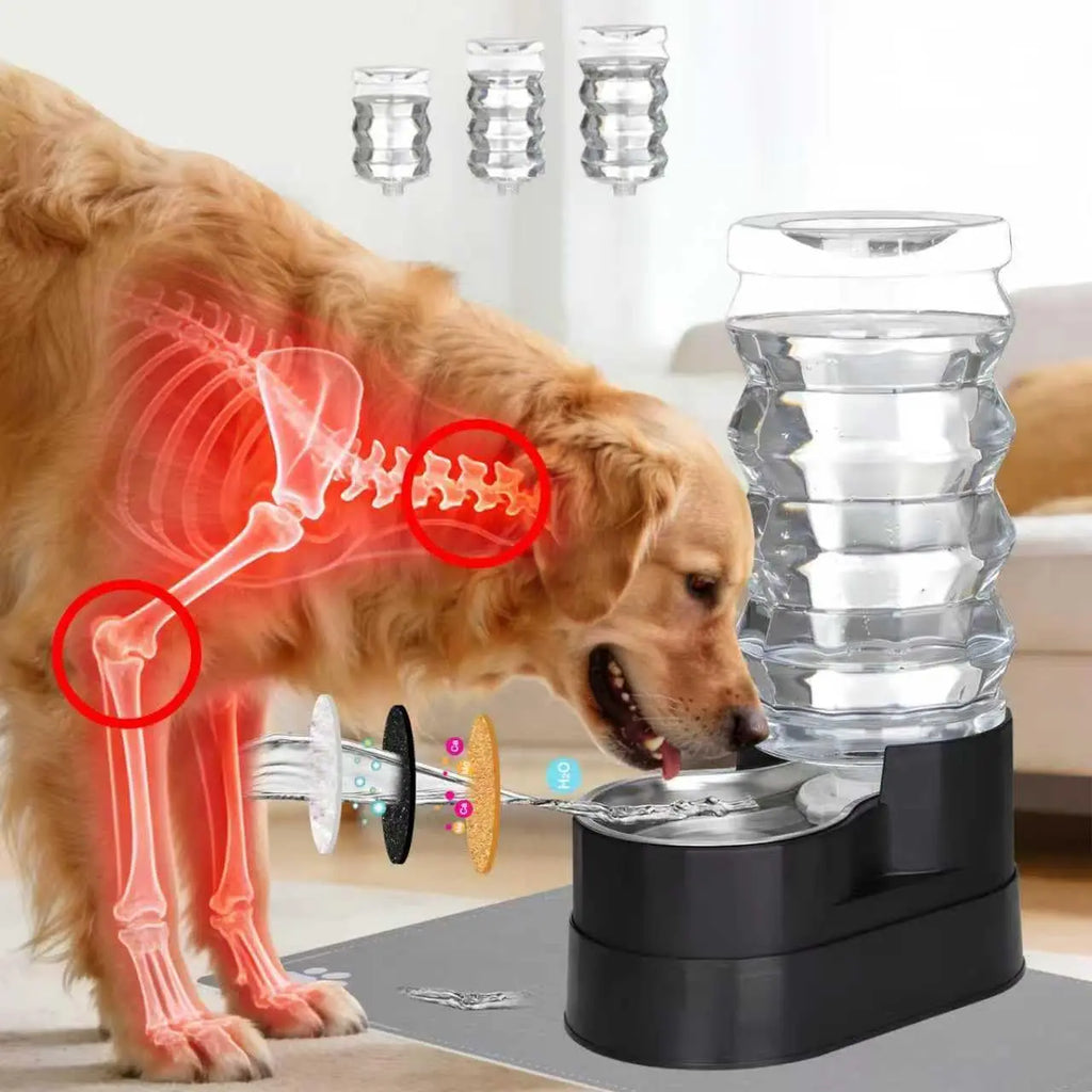 Upgraded Automatic Dog Water Dispenser: 9L Large Stainless Steel Pet Feeder with Filter, Includes Extras