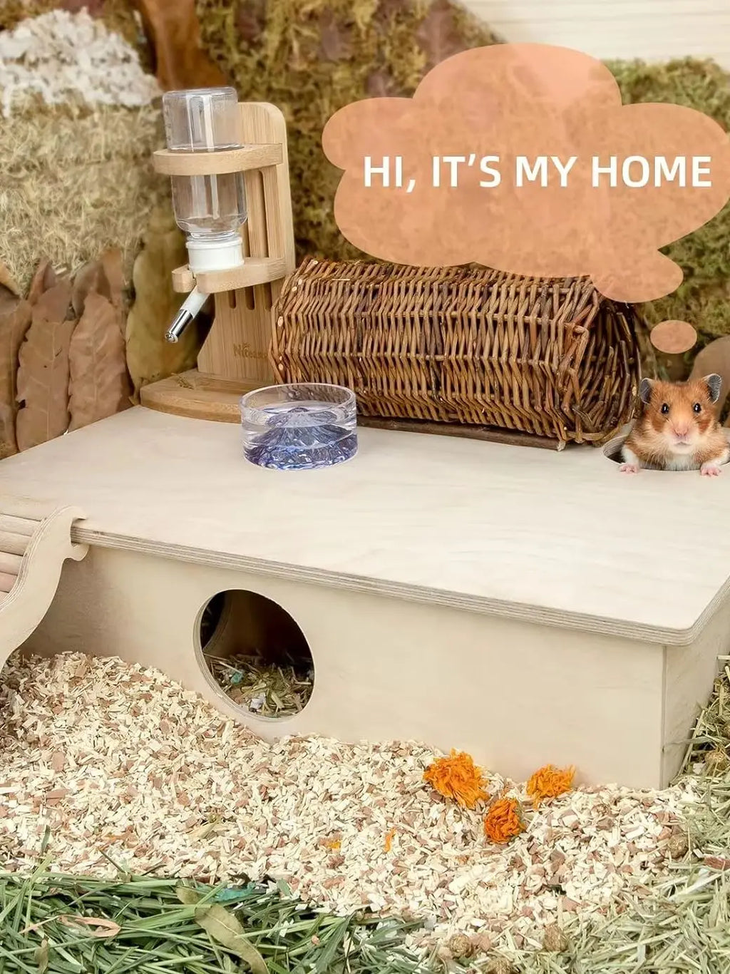 Multi-Chamber Hamster House Maze: - Multi-Room Hideouts & Tunnel Exploring Toys