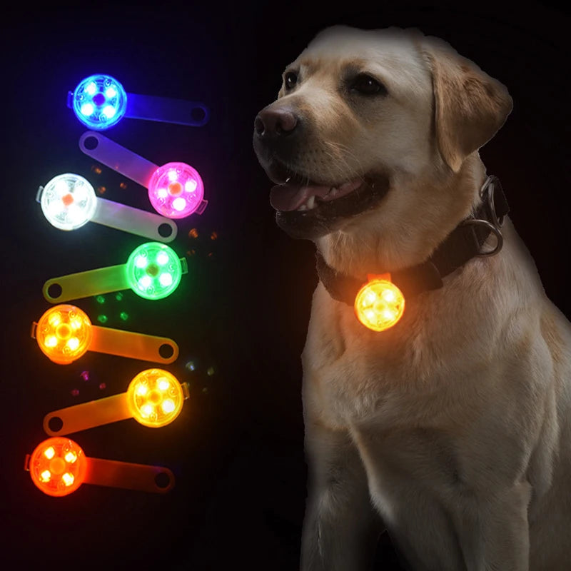 Collar Pendant Night Safety Cat Luminous Light IPX7 Waterproof Flashing Harness With Light