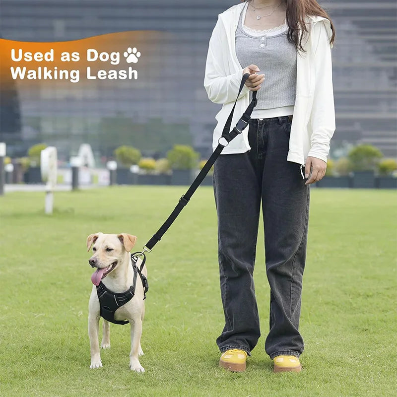 Nylon Machine Washable Dog Leash, Durable & Easy Clean. 20cm, Loop Handle, for Daily Walks