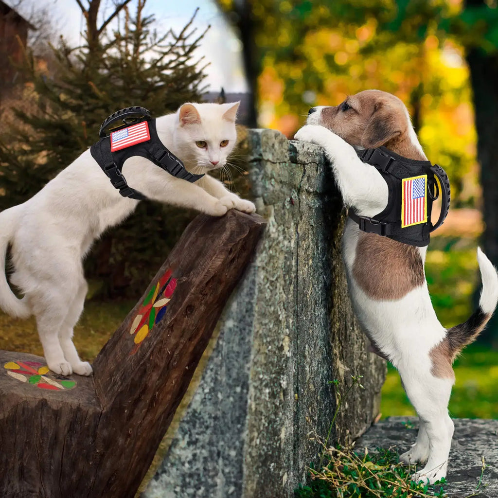 Tactical Puppy Harness Leash Set For Small Dogs Adjustable Cat Harnesses Vest