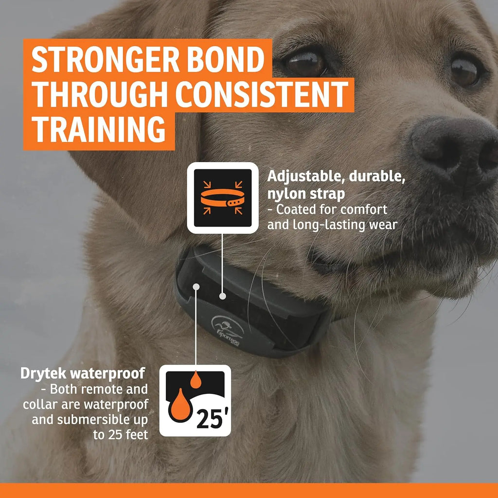 Waterproof Rechargeable Dog Training Collar for Multi-Dog Households